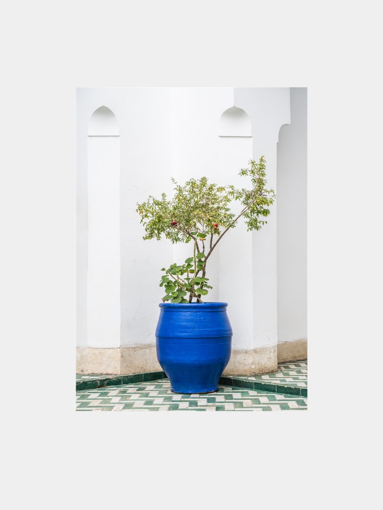 Vibrant Blue Pot Corner
