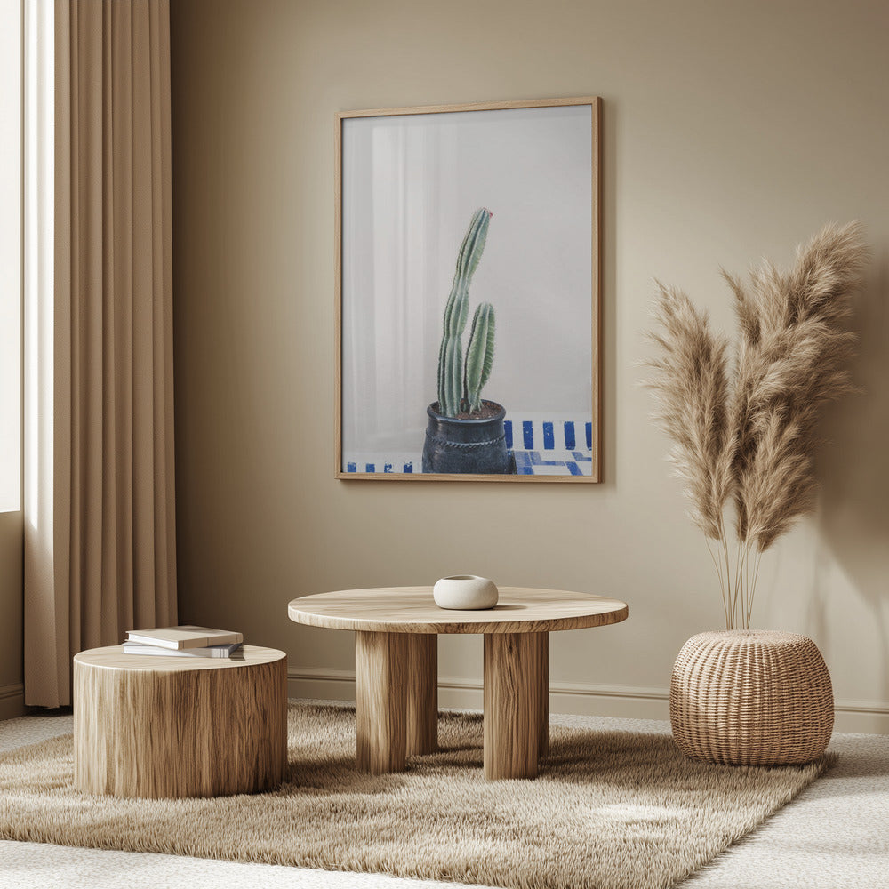 Green Cactus and Blue Pottery In Morocco Art Print