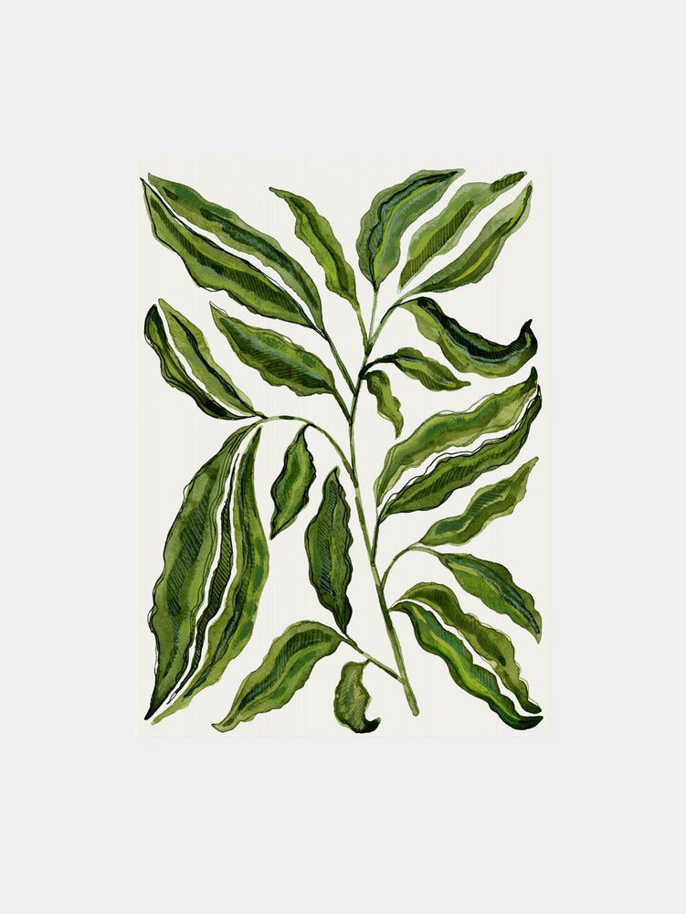 Sprig Of Leaves Art Print