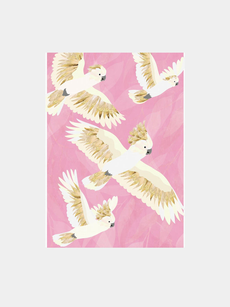Flying Cockatoos Art Print