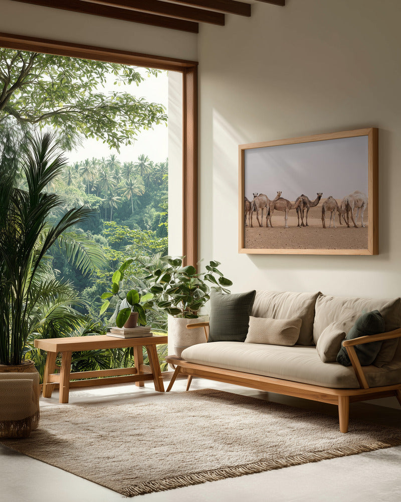Camels in the Sahara desert Art Print