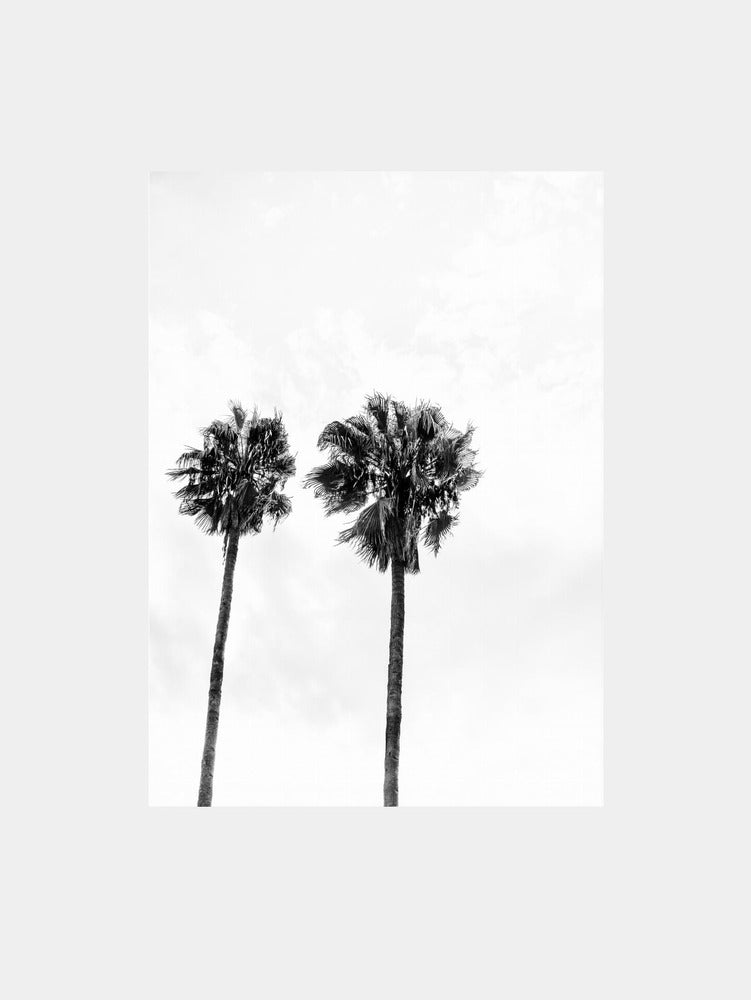 Palm trees in Marrakesh Art Print