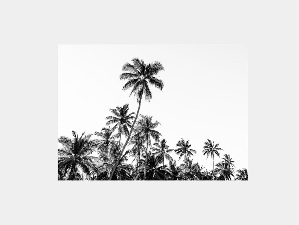 Tropical sunset on the beach in Sri Lanka in black and white Art Print