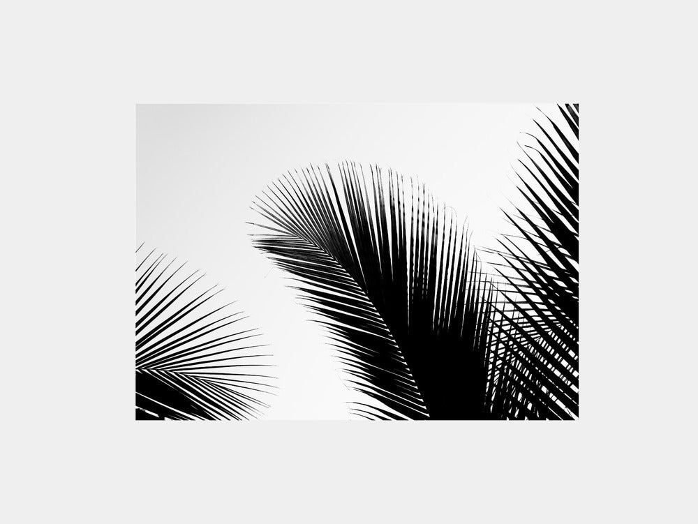 Tropcial leaves in black and white Art Print