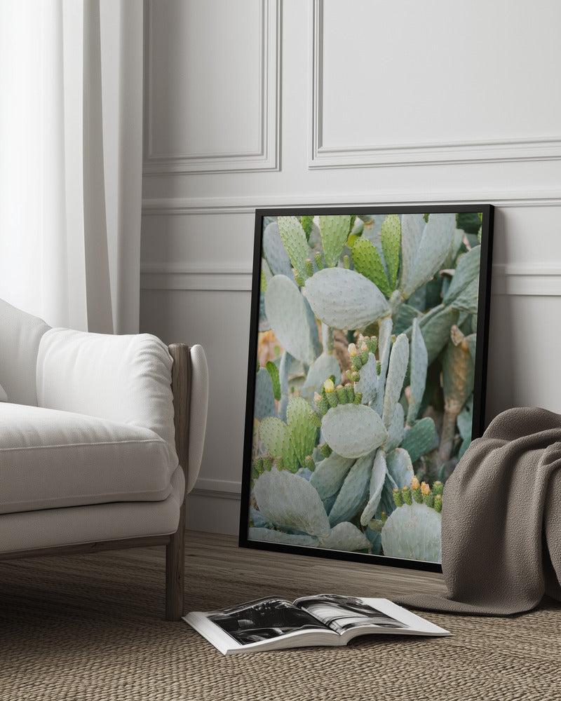 Soft Green Cacti of Mallorca Art Print