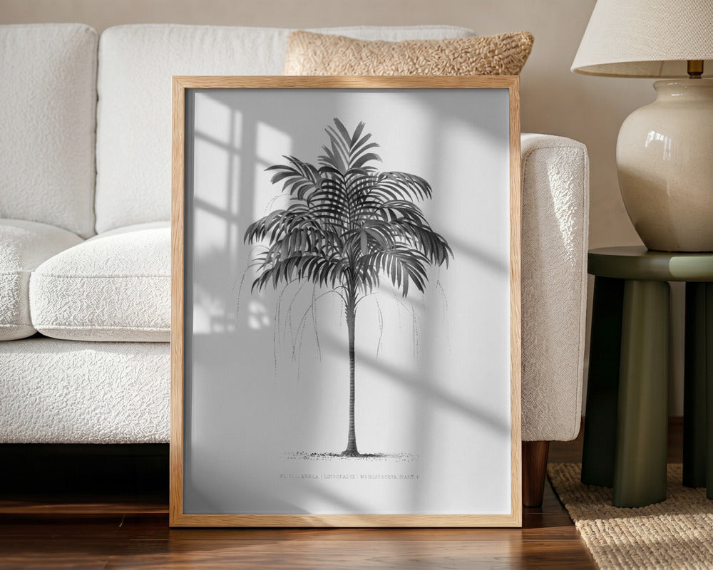 Palm Vintage