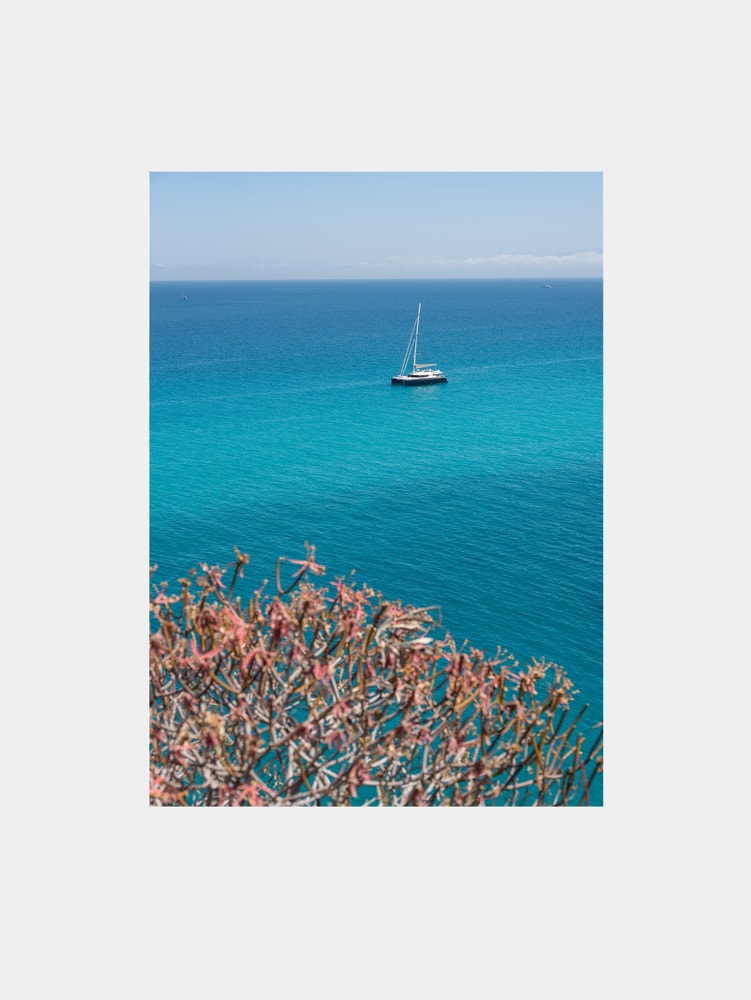 Turquoise Sea Sailboat