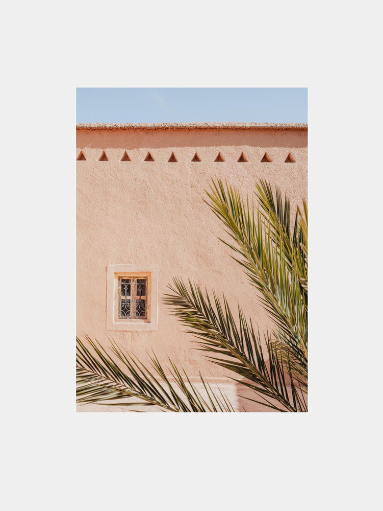 Pink Wall Palm Shadow