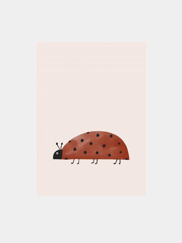 Cute Red Ladybug