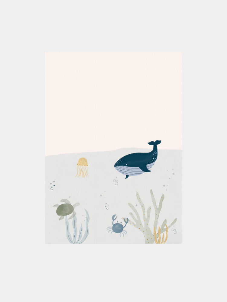Calm Underwater World