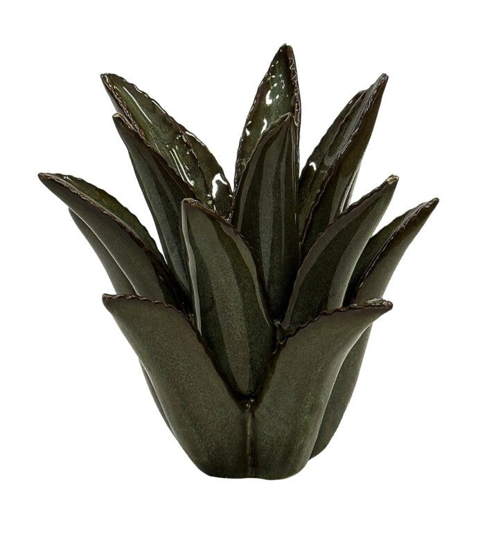 Ceramic Spiked Aloe | Green