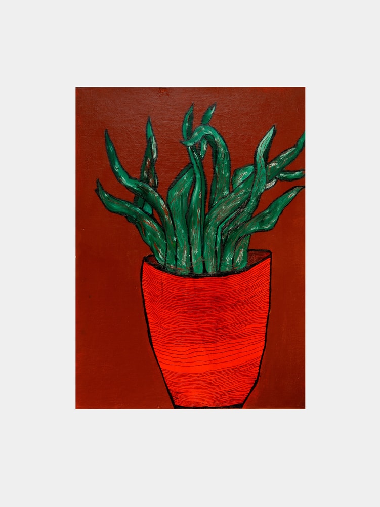 Vibrant Potted Plant