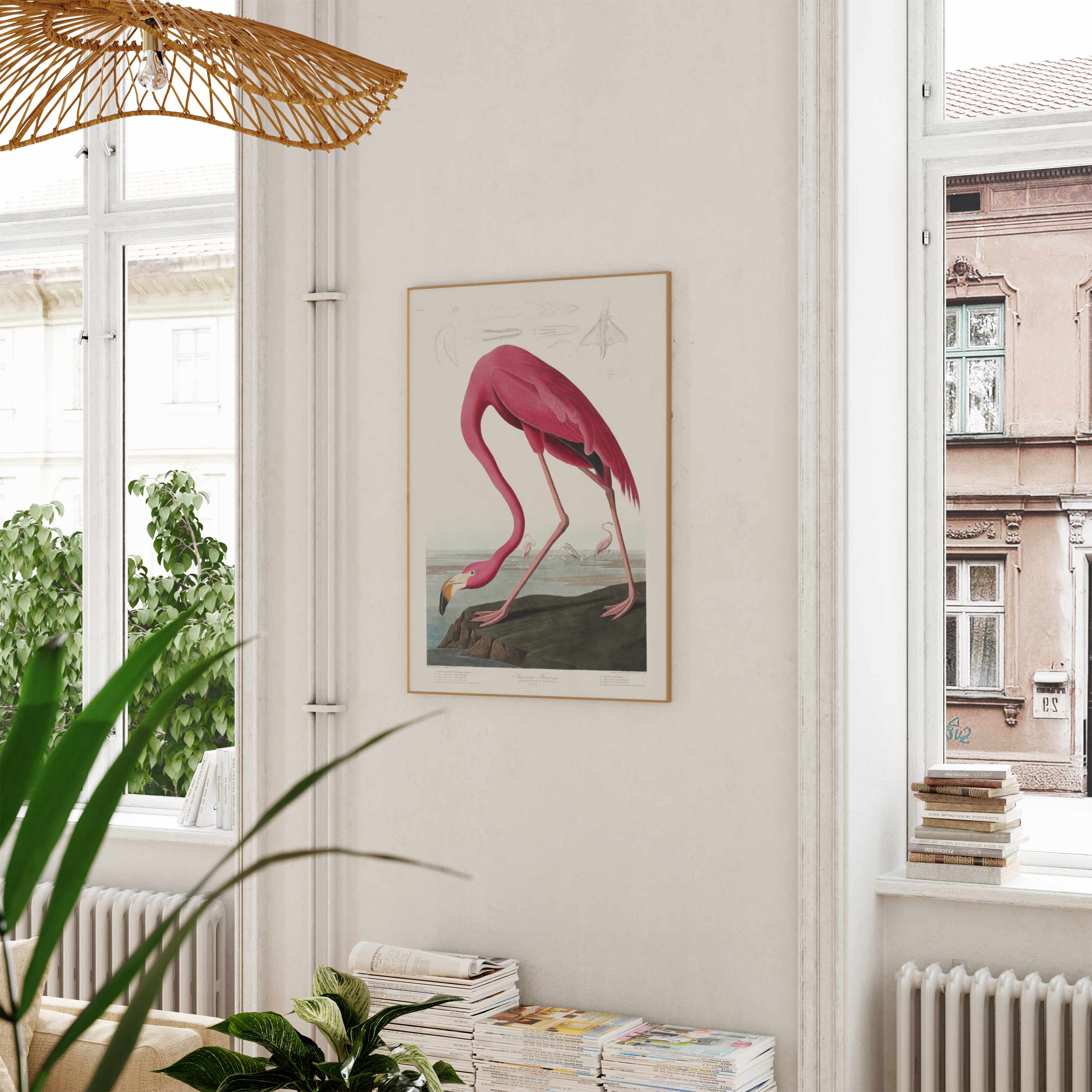 Pink Flamingo From Birds of America (1827)
