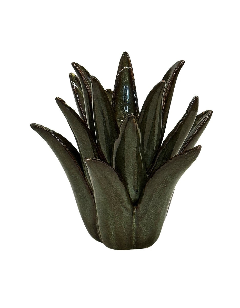 Ceramic Spiked Aloe | Green