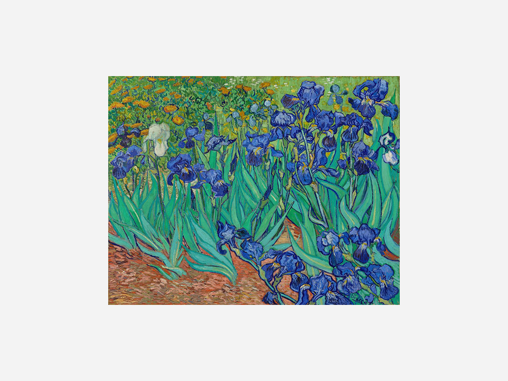 Van Gogh "Irises (1889)" Art Print