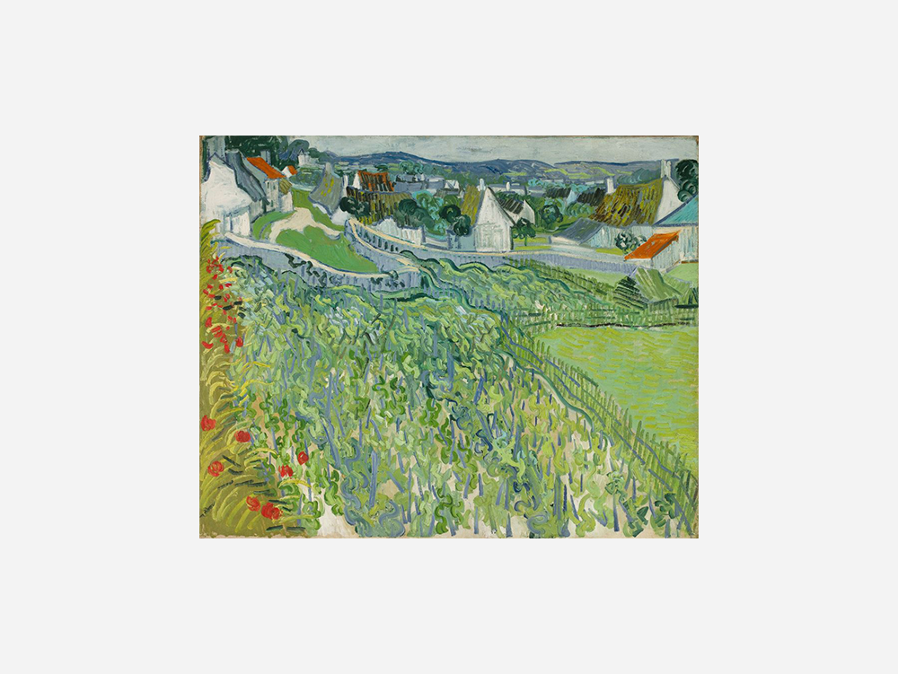 Van Gogh "Vineyards at Auvers (1890)" Art Print