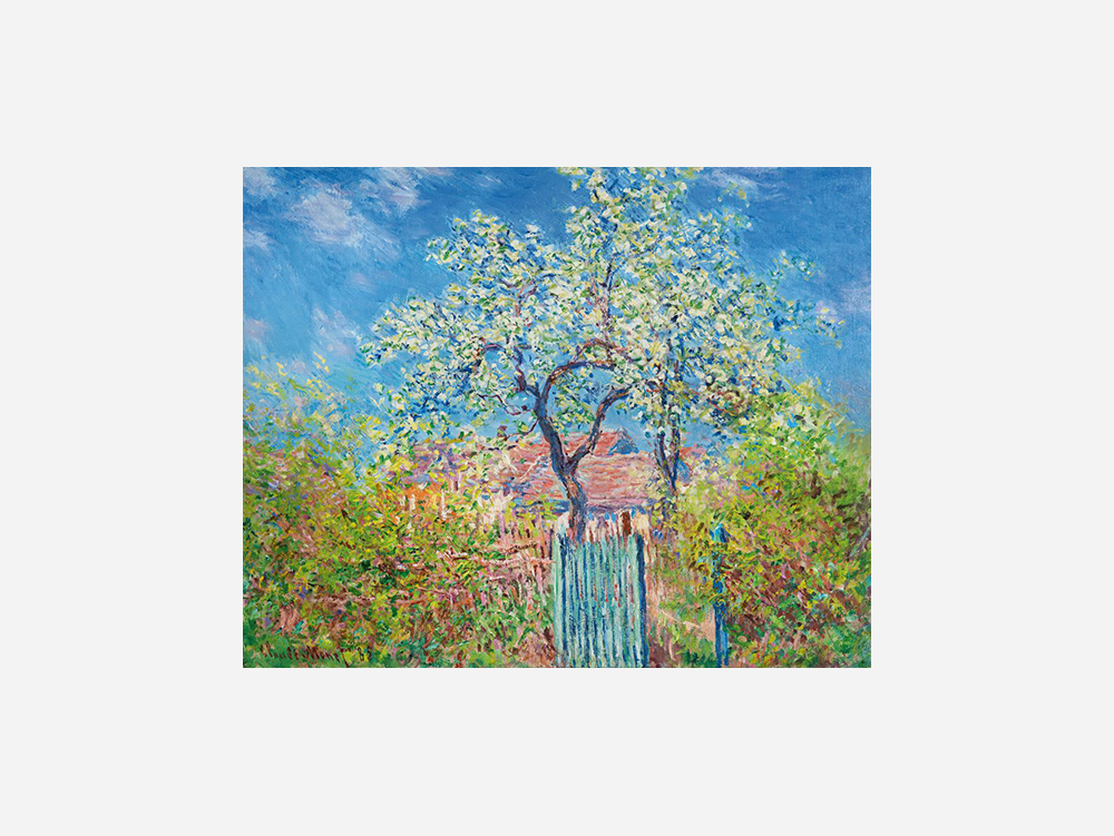 Monet: "Poirier En Fleurs (1885)" Art Print