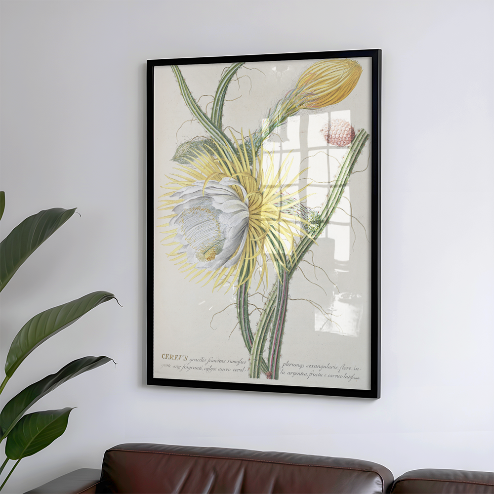 Cereus III Art Print