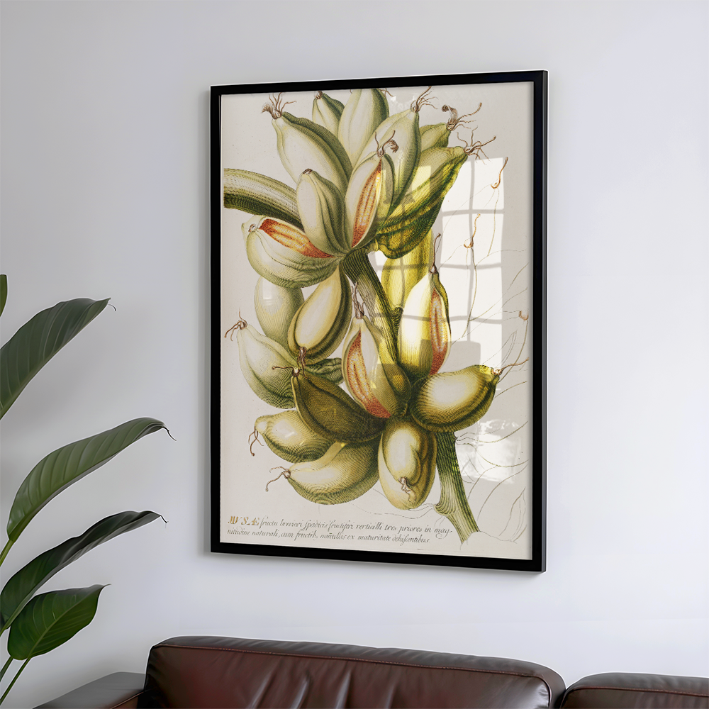 Musae IV Art Print