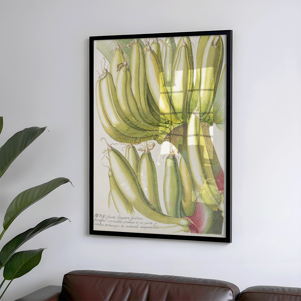 Musae (1750-1773) Art Print