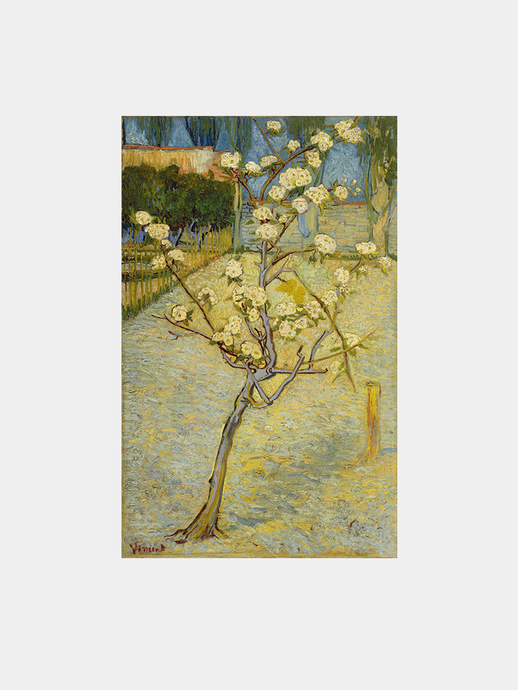 Van Gogh "Small Pear Tree Blossom" Art Print