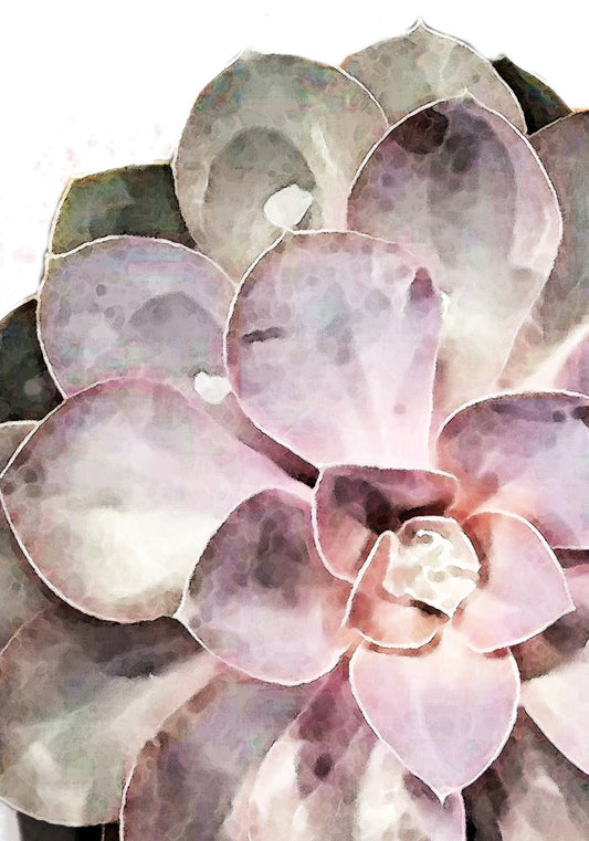 Succulent Close-up Art Print