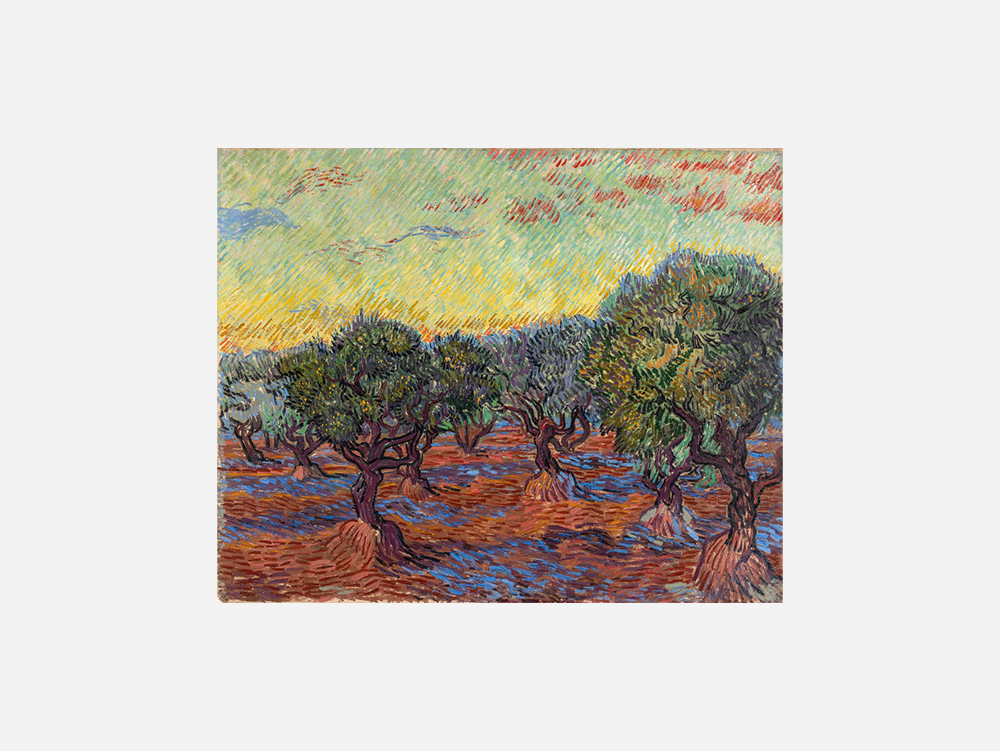 Van Gogh "Olive Grove" Art Print