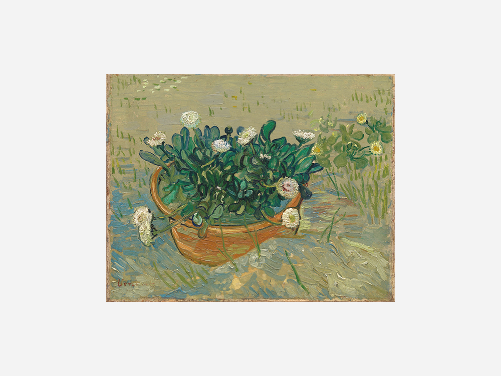 Van Gogh " Daisies, Arles (1888)" Art Print