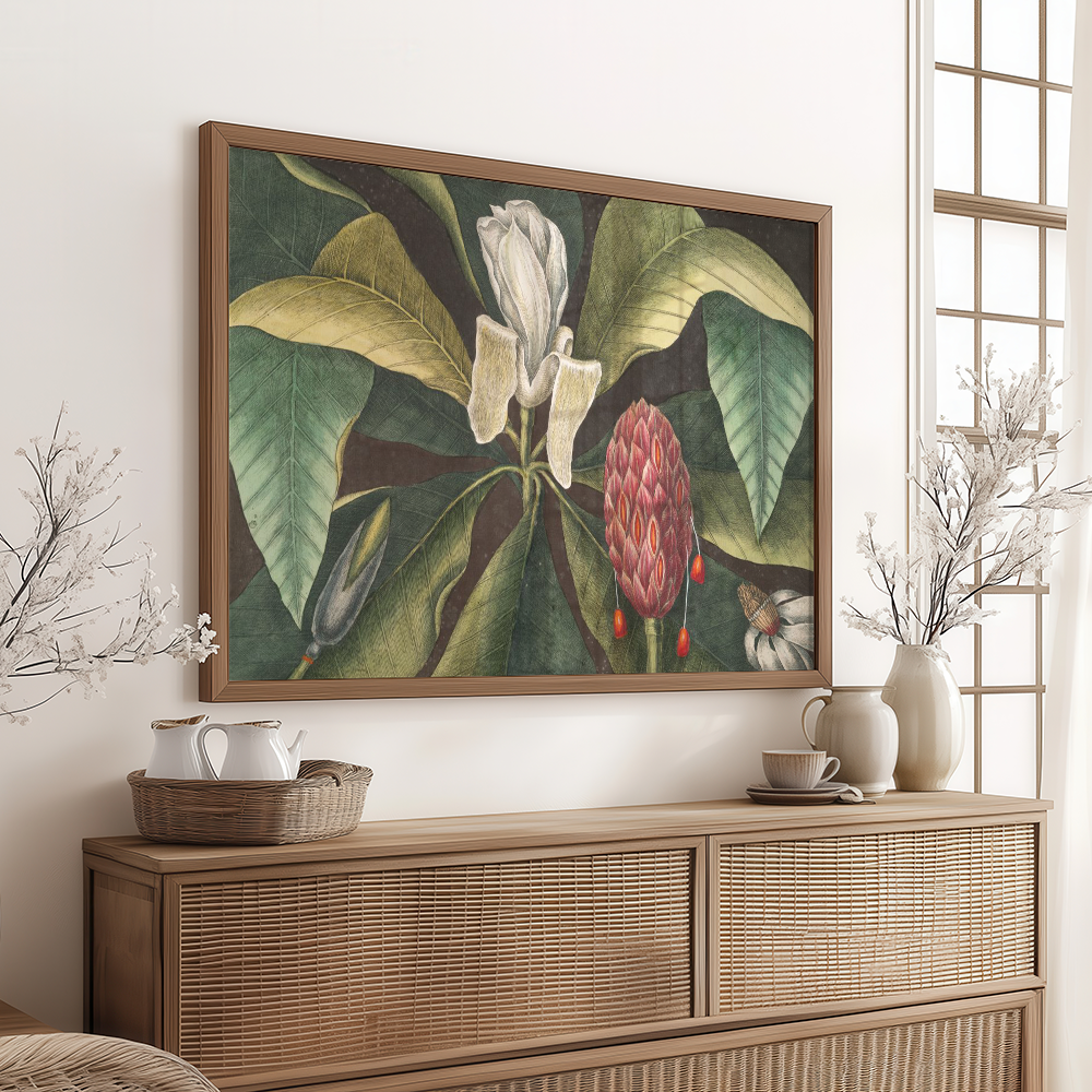 Umbrella Tree (Magnolia) Art Print