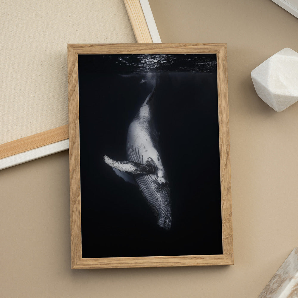 Black whale Art Print