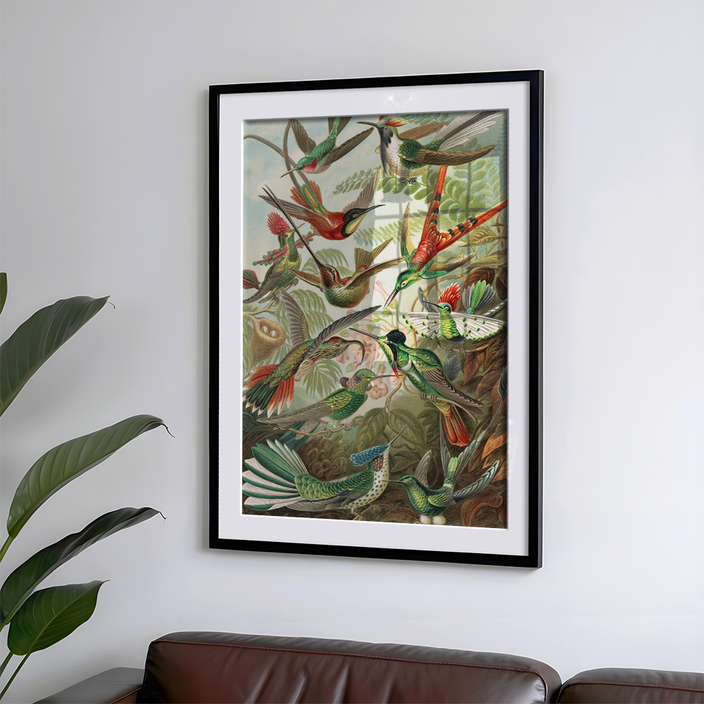 Trochilidae Art Print