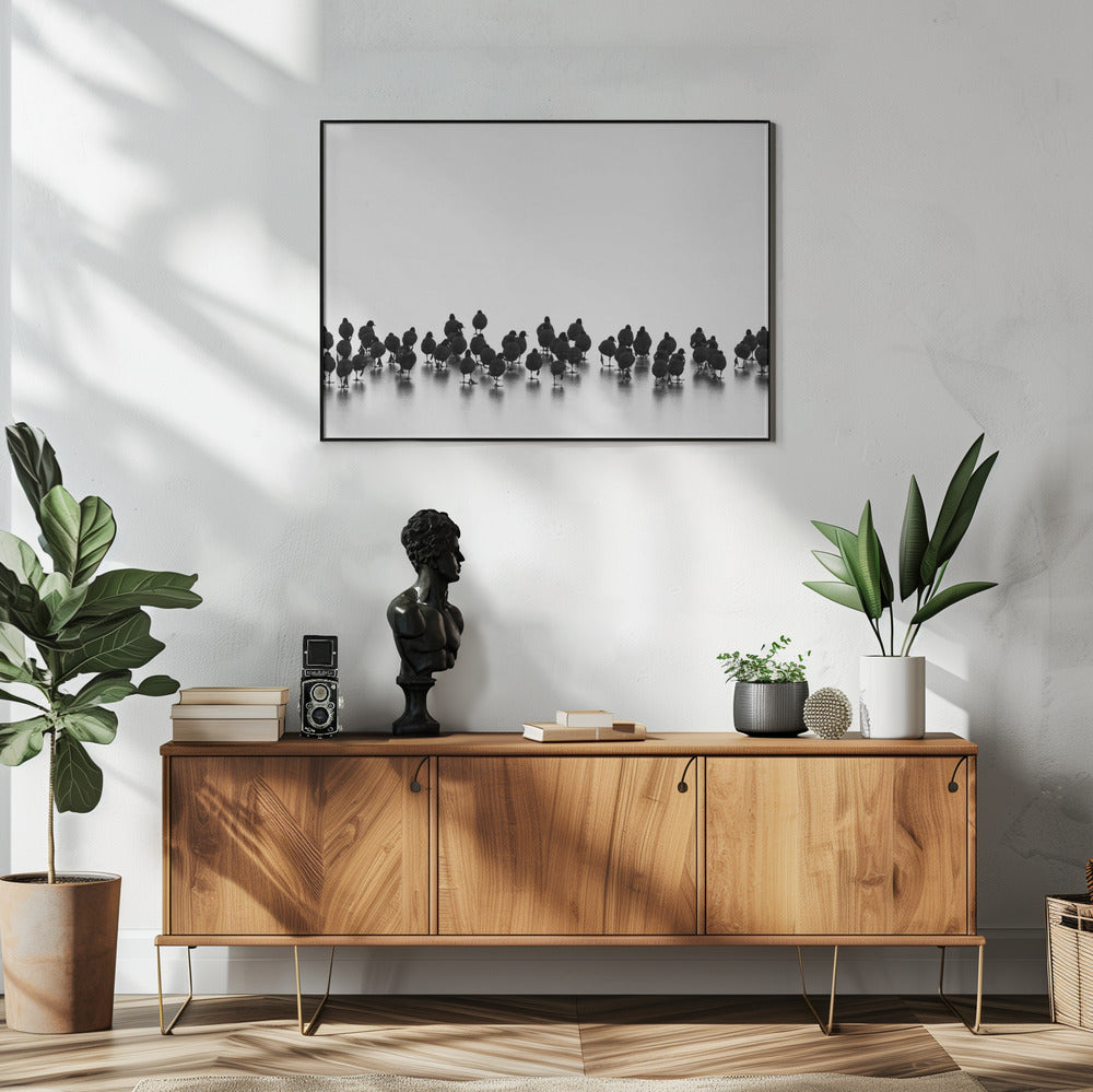 Eurasian coots Art Print