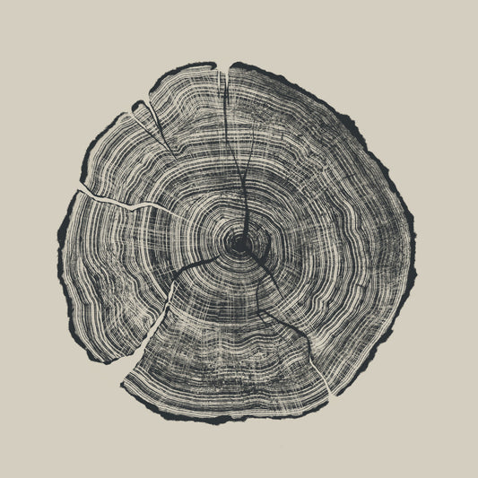 Hand Drawn Oak Art Print