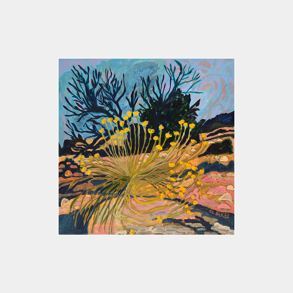 Fynbos Art Print