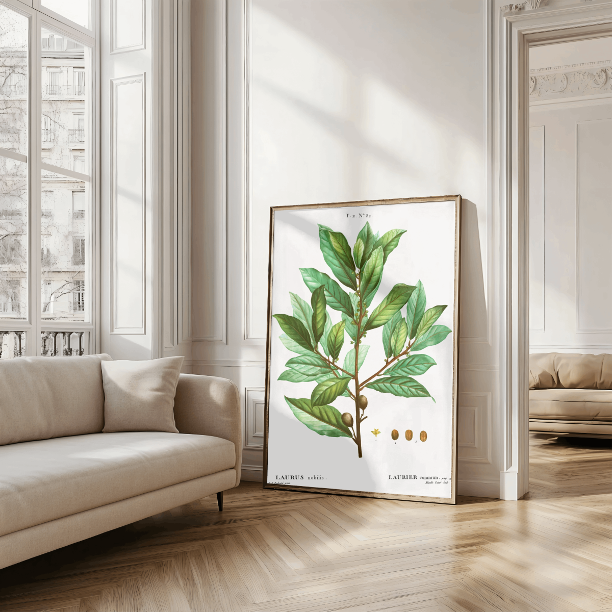 Bay Laurel Art Print