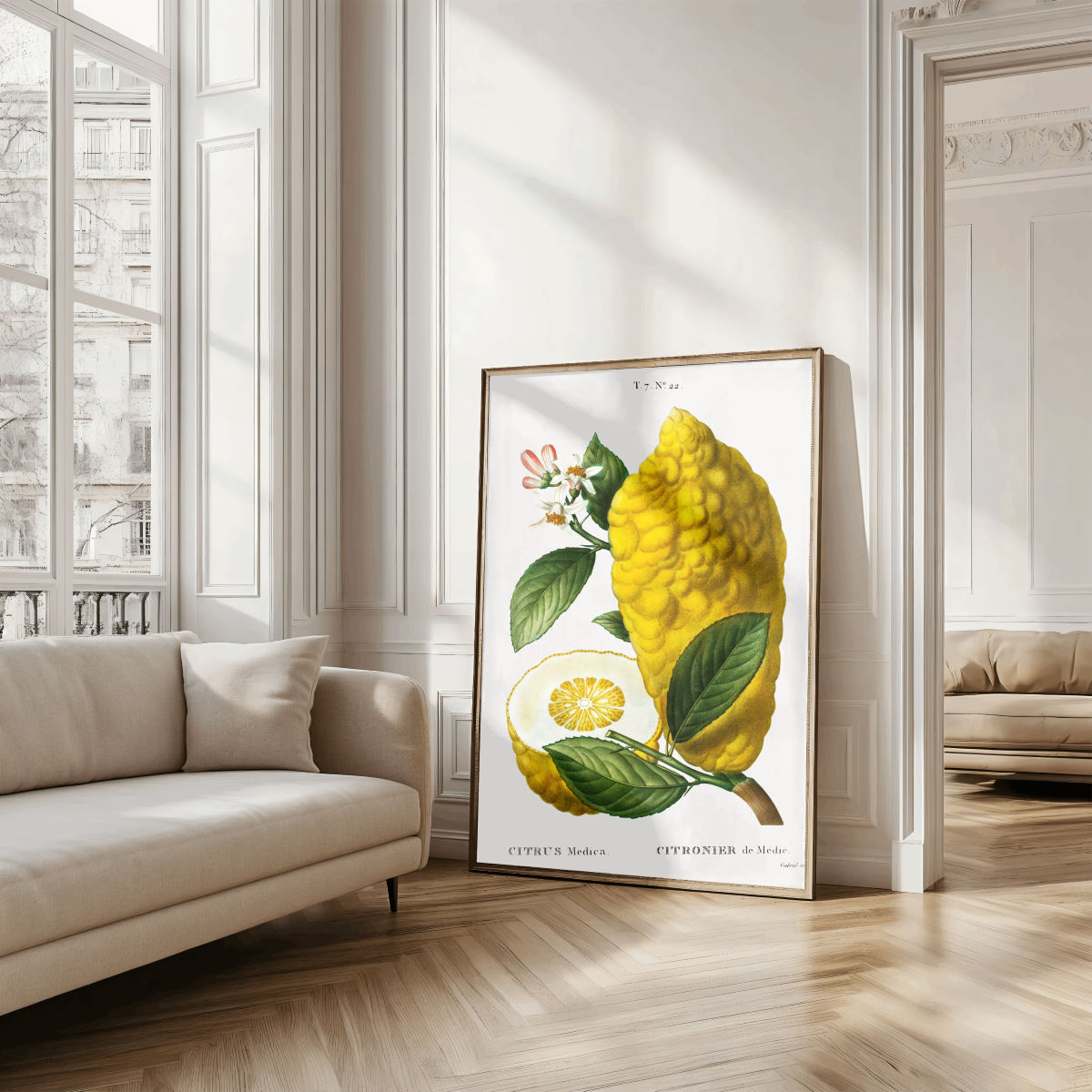 Yellow Citron Art Print