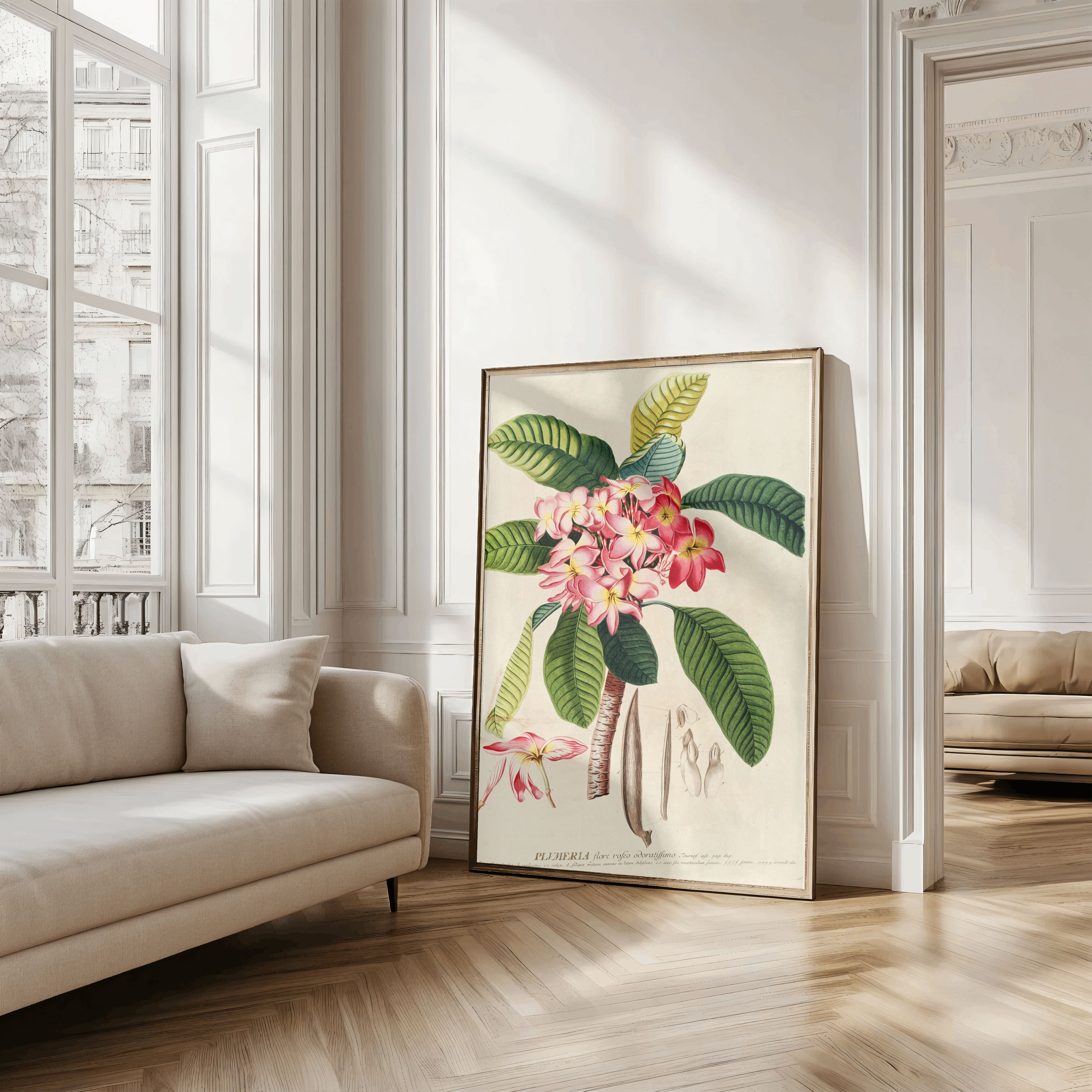 Plumeria Art Print