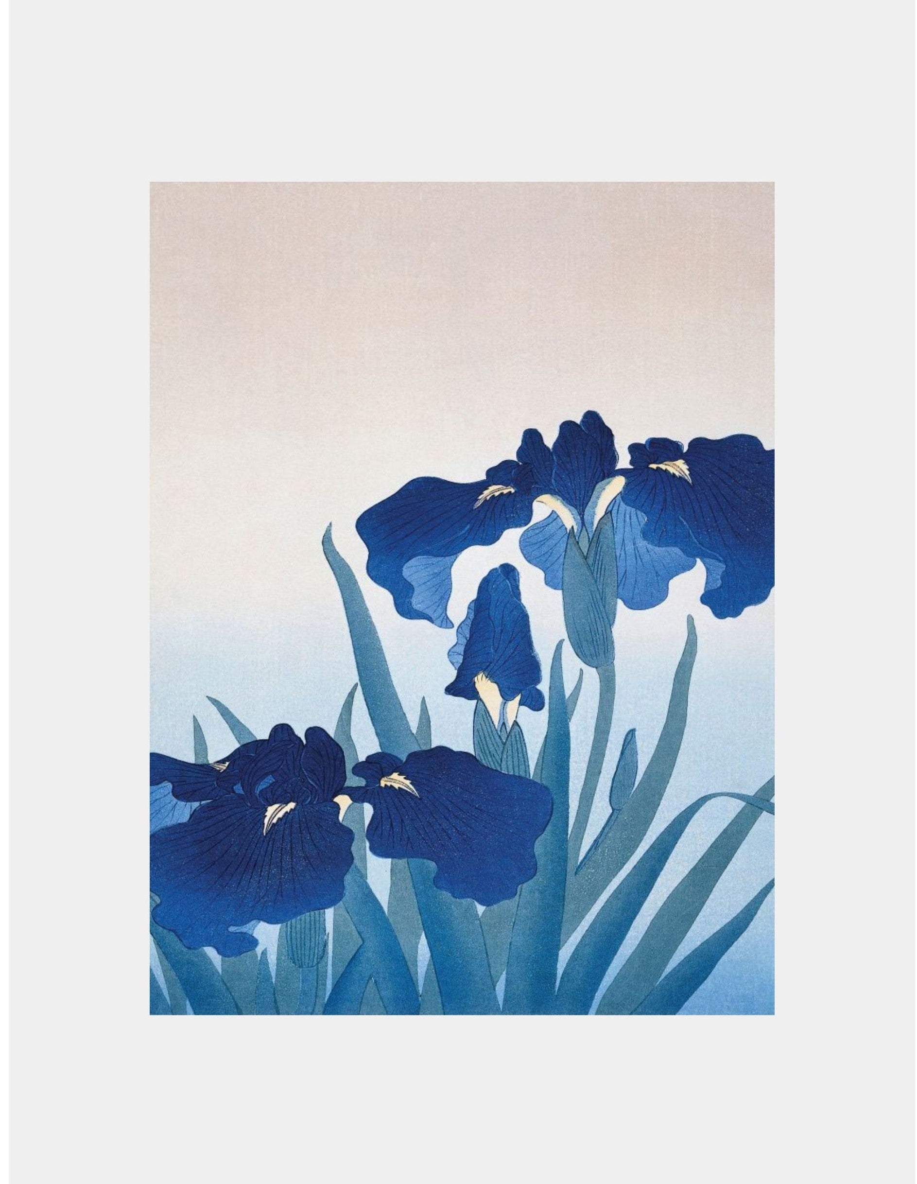Ohara Koson Iris Flowers