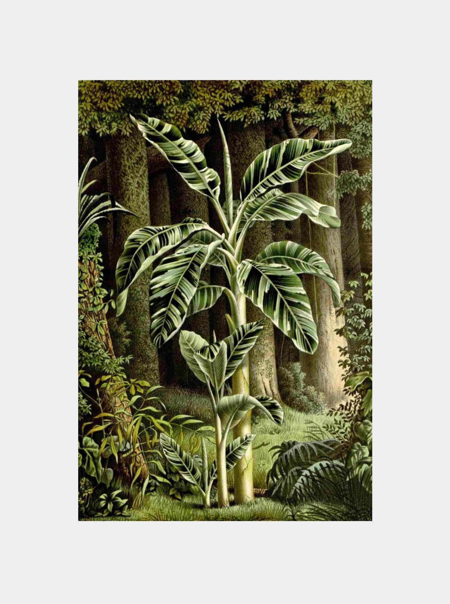 Vintage Banana Leaf