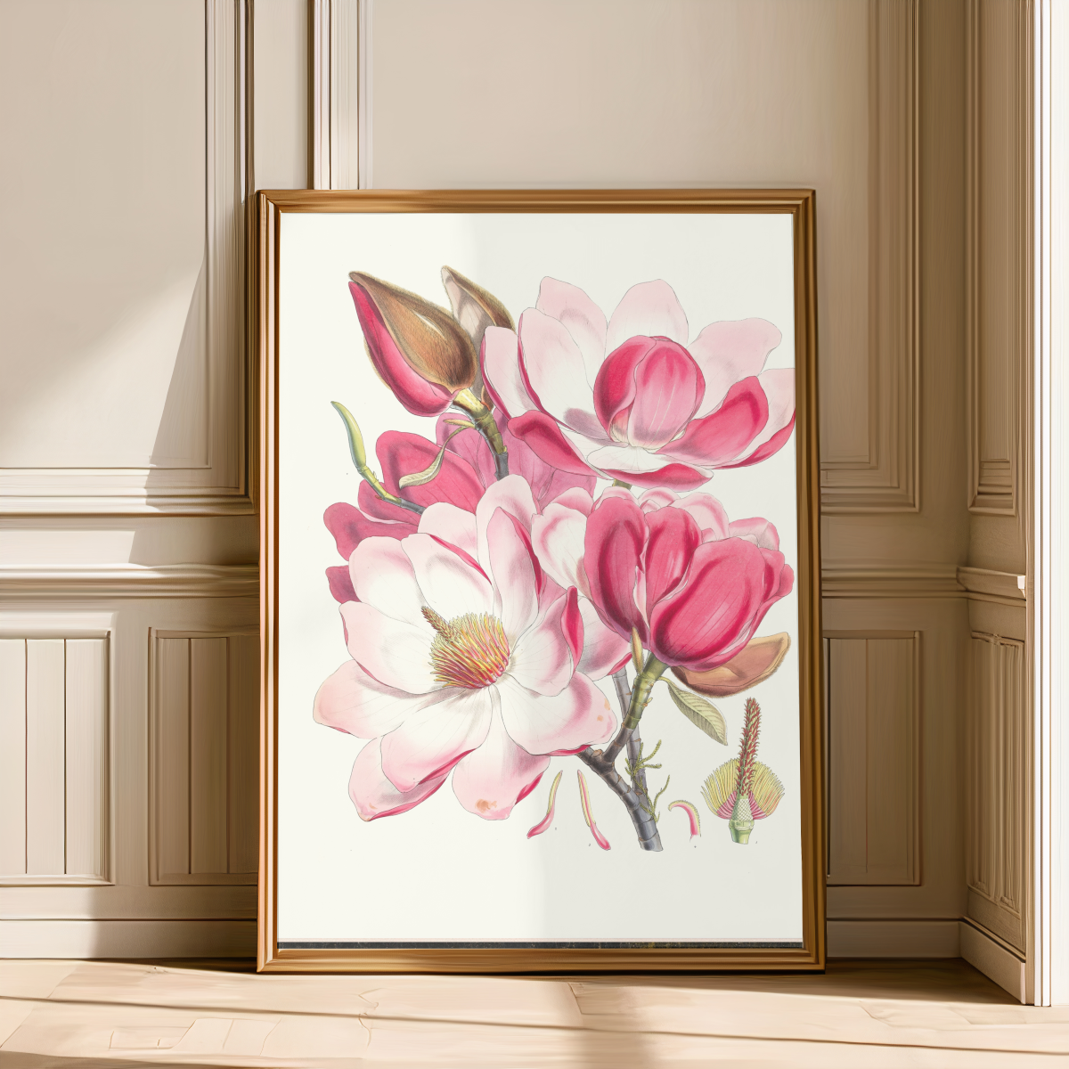 Magnolia Art Print