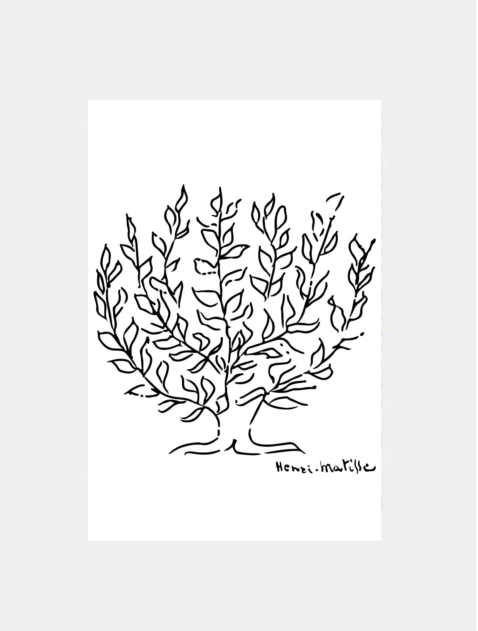 Matisse: "Tree Sketch"