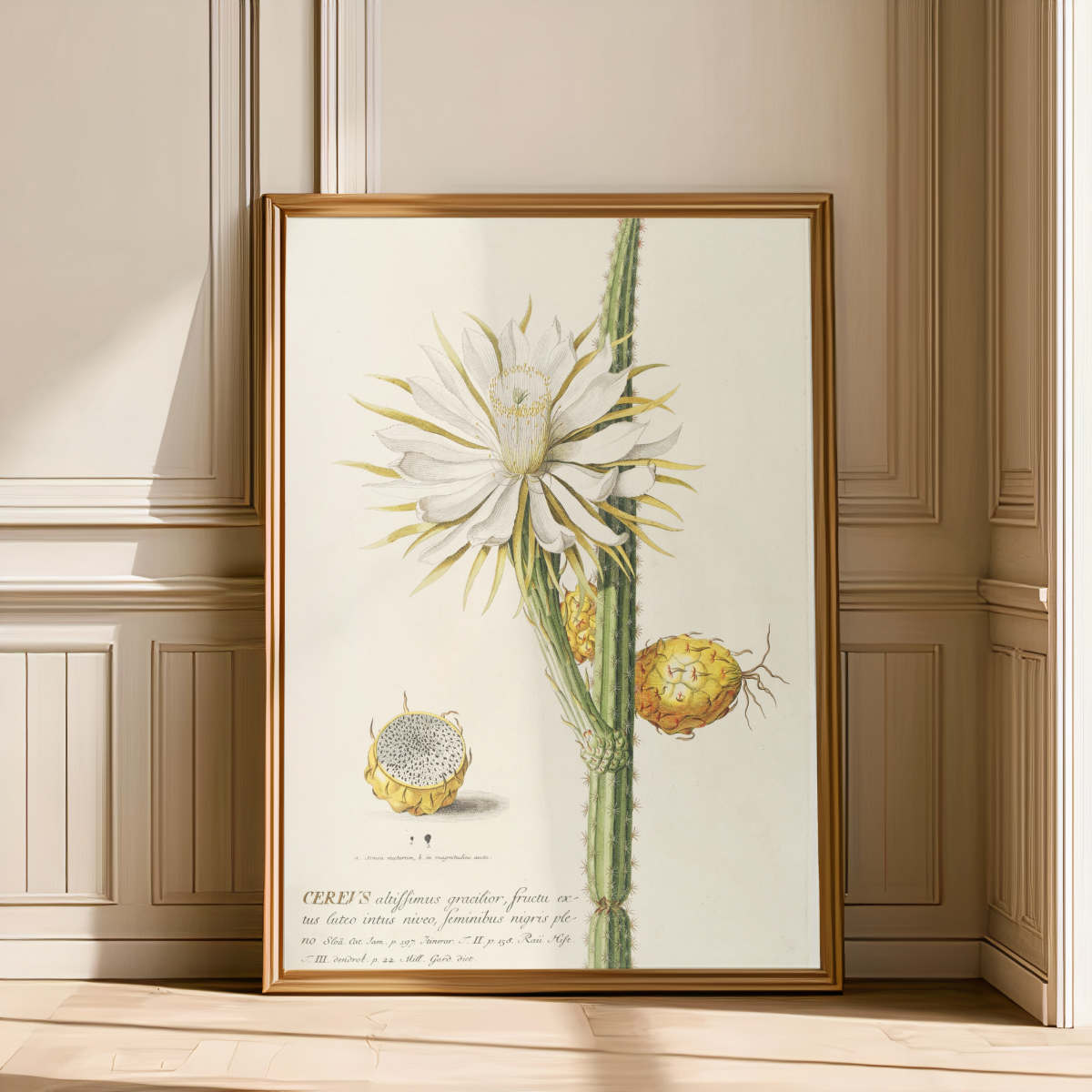 Cereus Art Print