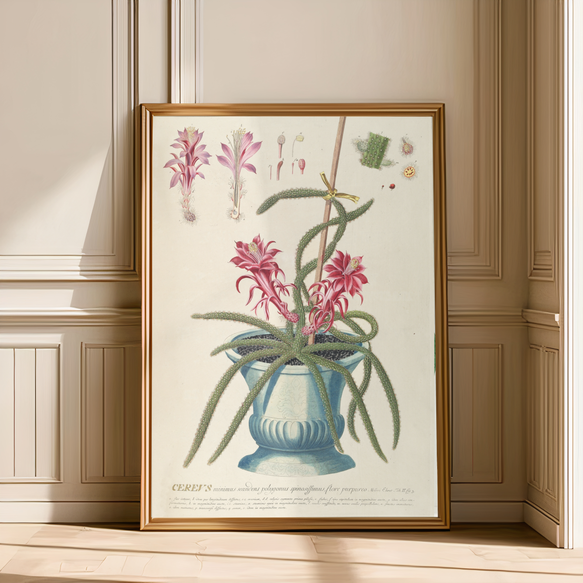 Cereus II Art Print