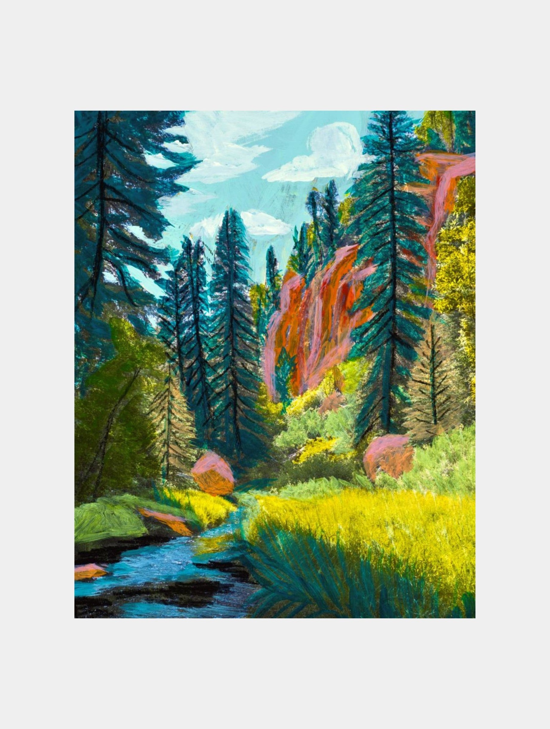 New Mexico Forest