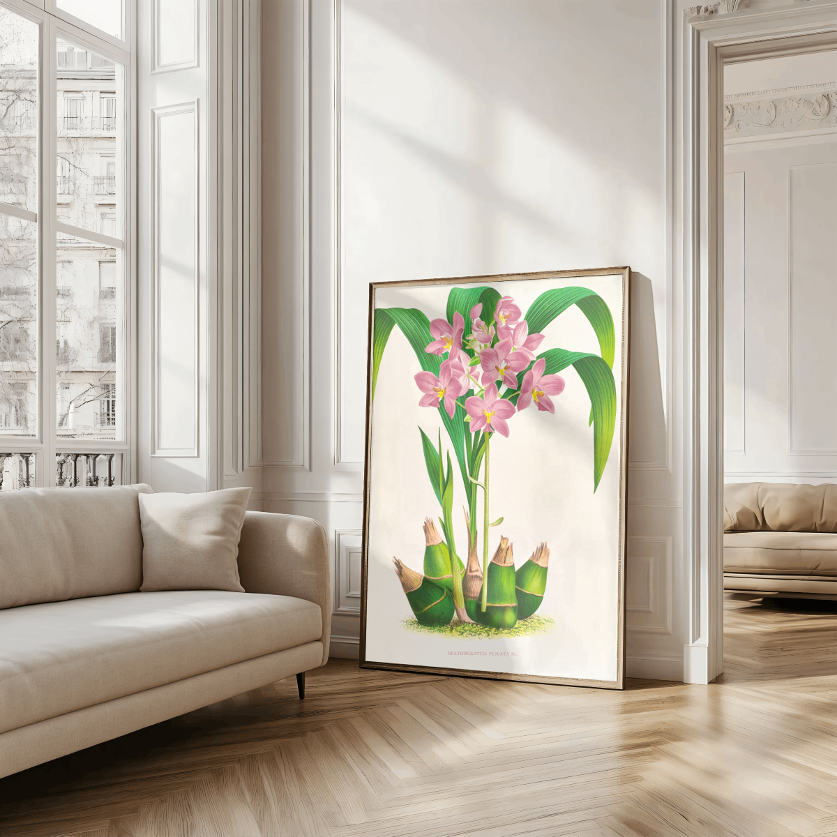 Spathoglottis plicata Art Print