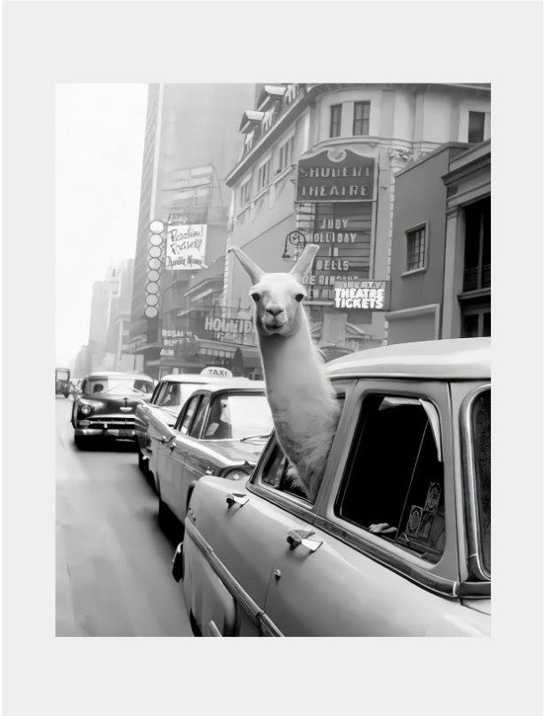 Llama in Time Square