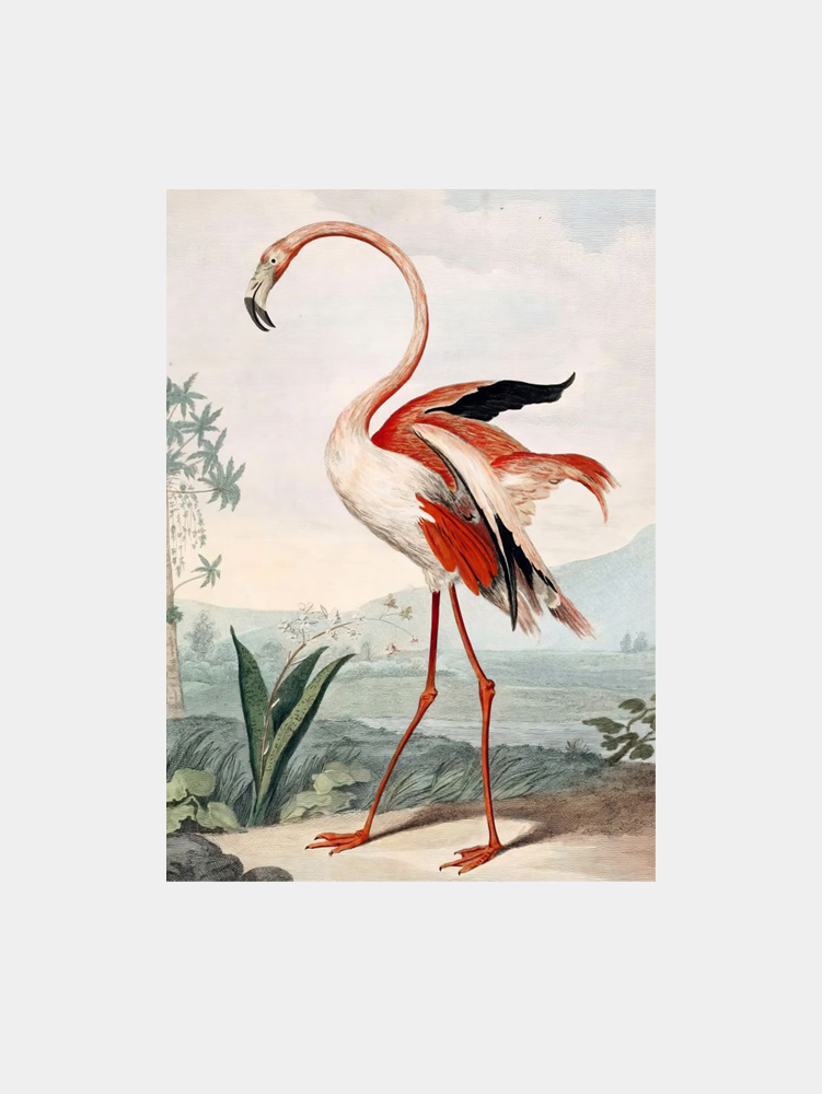 Vintage Flamingo Art Print