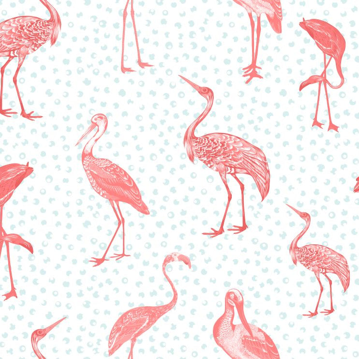 Tropical Birds Wallpaper