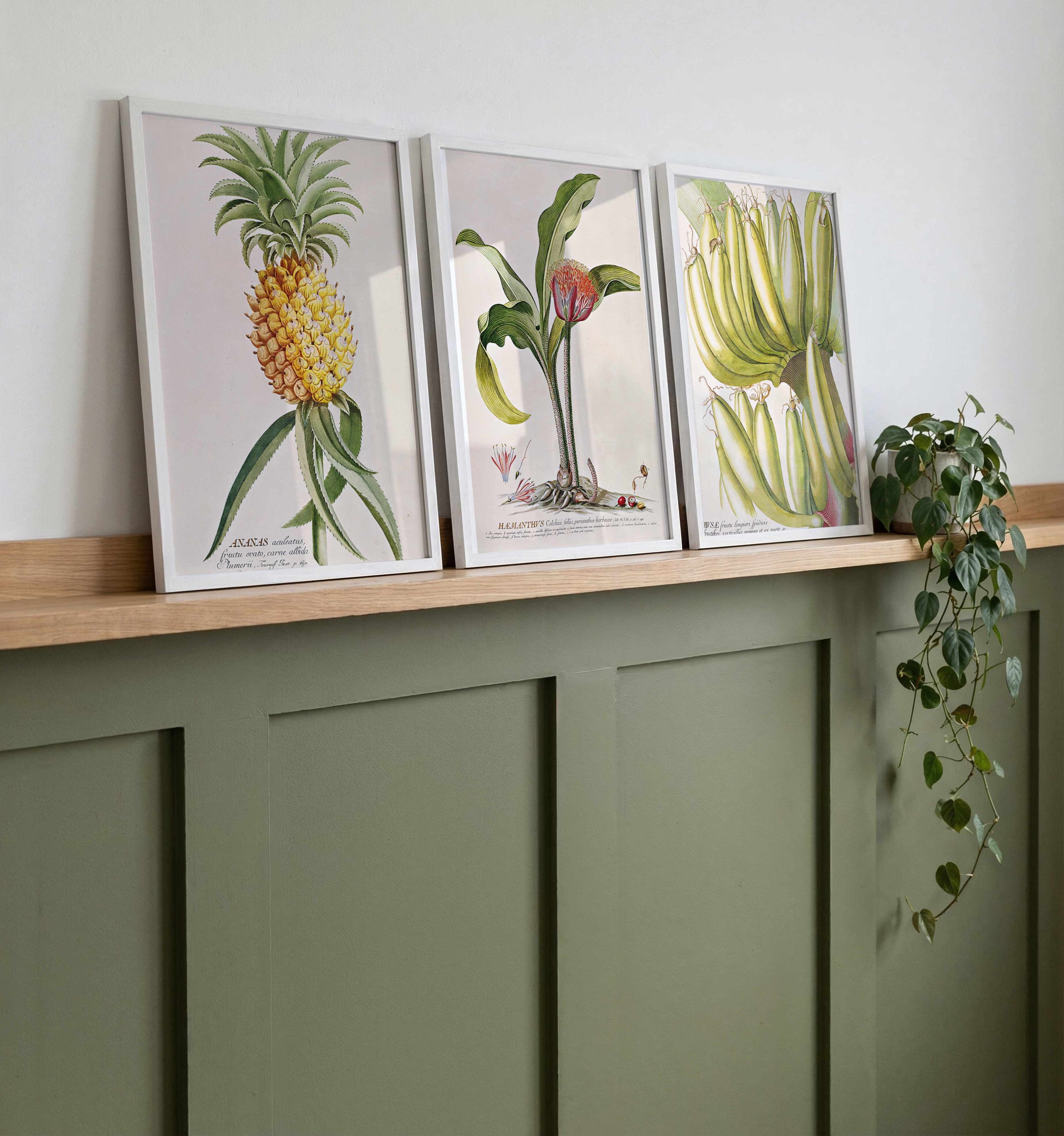 Gallery Wall - Vintage Flora