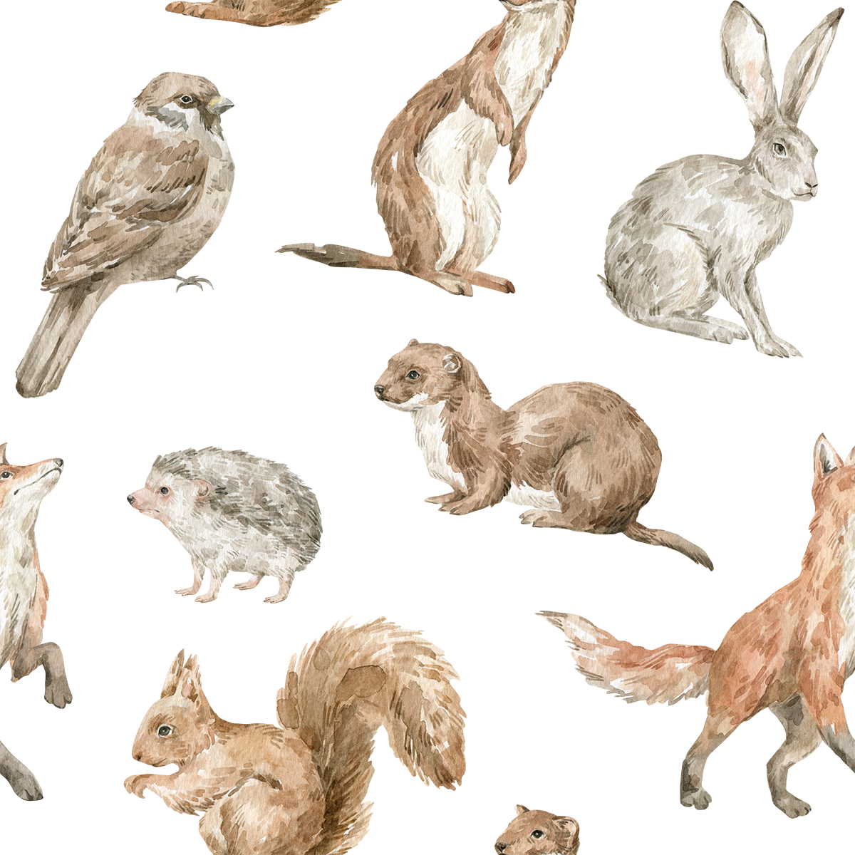 Baby Forest Animal Wallpaper